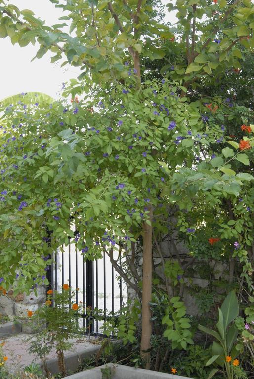 Ferienwohnung 'Αγριοι Λιμένες Iria Exterior foto